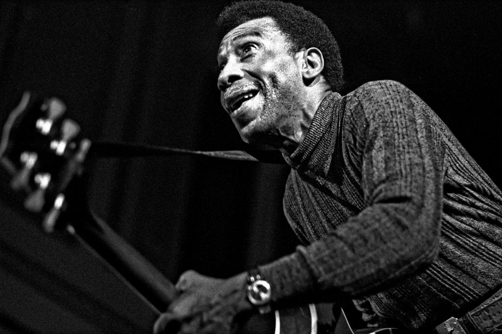 T-Bone Walker: The Electric Blues&nbsp;Pioneer